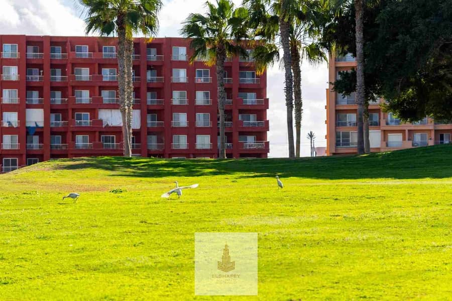 3 IMG-20251213-WA0224. jpg