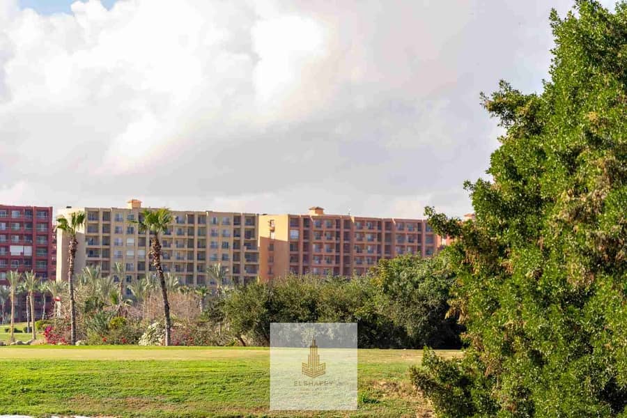 4 IMG-20251213-WA0226. jpg