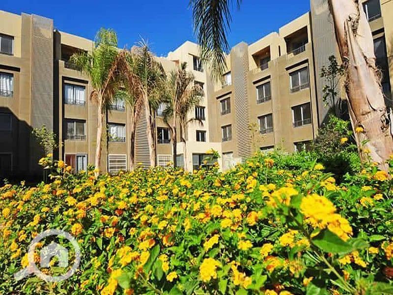 10 WhatsApp Image 2024-08-14 at 17.07. 33_e22d699a. jpg