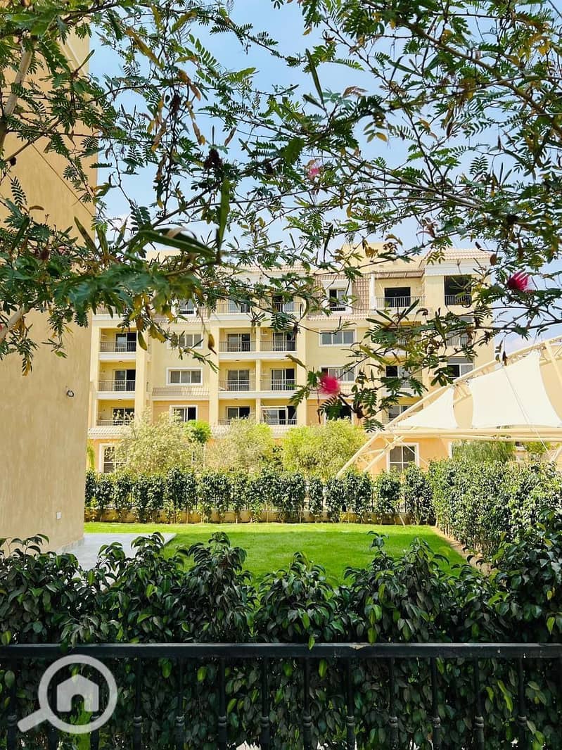 18 9ba05311-d50c-4b8c-94e2-b58e2672d5cd. jpeg