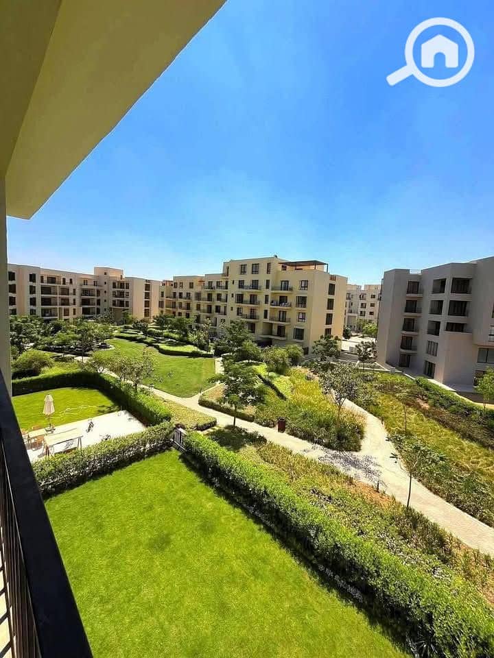 12 616429187_122220362786566653_572686243392898328_n. jpg