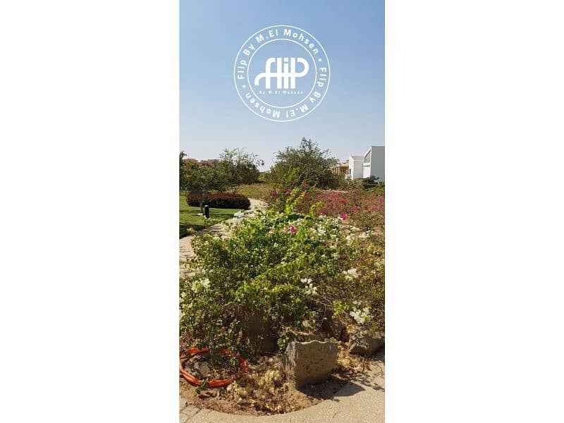 4 IMG-20250504-WA0108. jpg