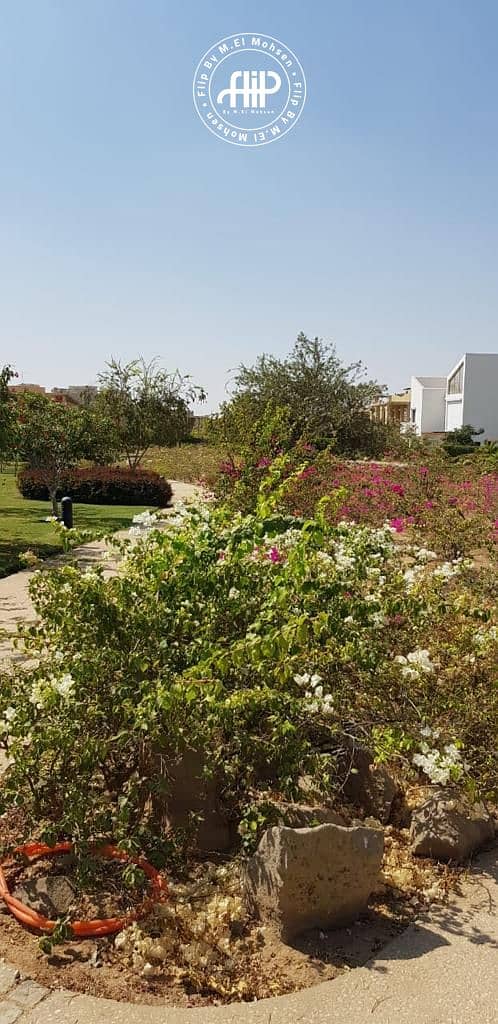 16 IMG-20250702-WA0295. jpg