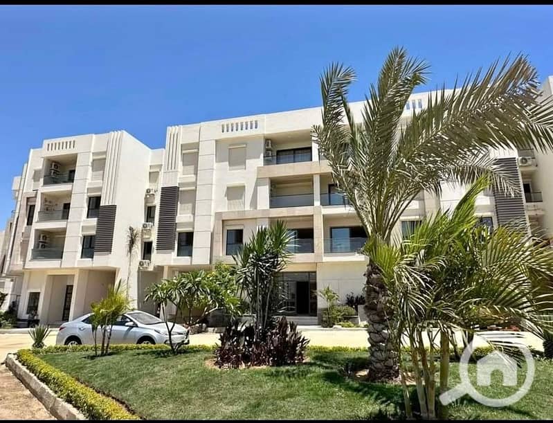 6 29c36178-1c59-4a22-af84-3831b1e0c595. jpg