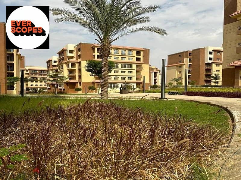 7 75084240-800x600. jpeg