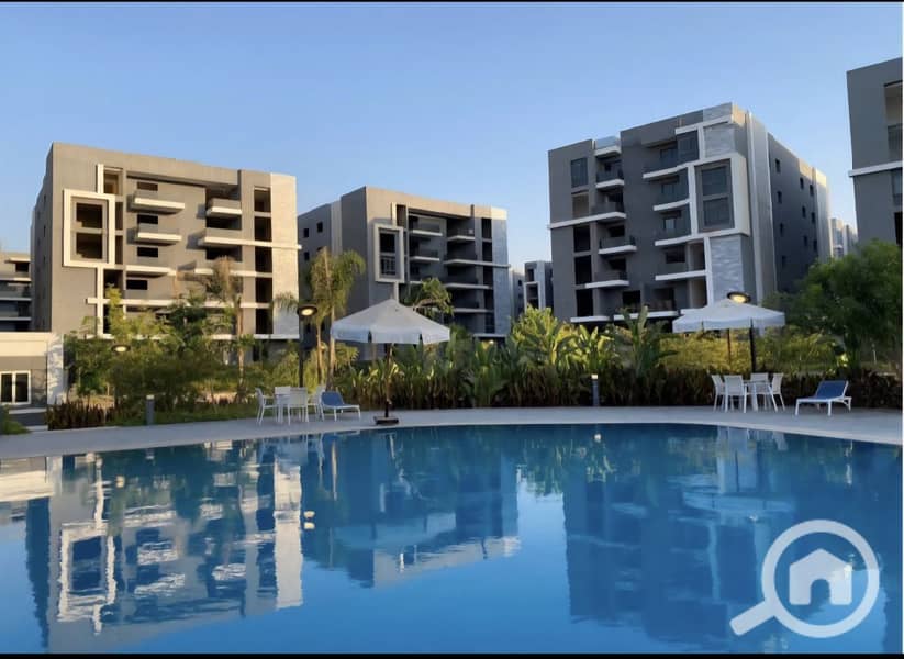 12 photo_19_2026-01-13_14-53-58. jpg