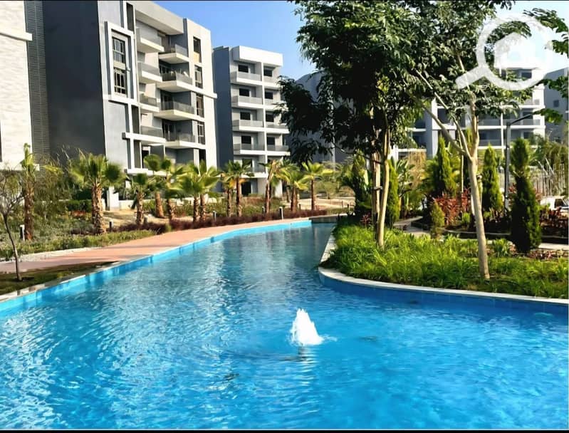 13 photo_17_2026-01-13_14-53-58. jpg