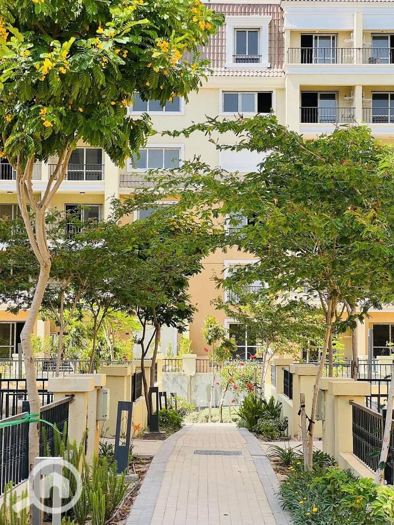 6 81f863d5-c08e-4388-85ff-ba400af17701. jpeg