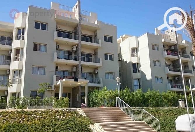 11 WhatsApp Image 2025-12-11 at 15.23. 48 (1). jpeg