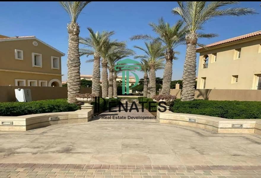 7 1312x894 (17). jpg