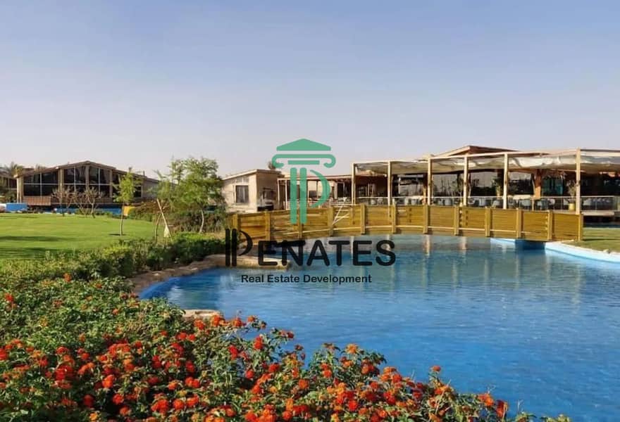 12 7738044-566fao_X-Design. jpeg