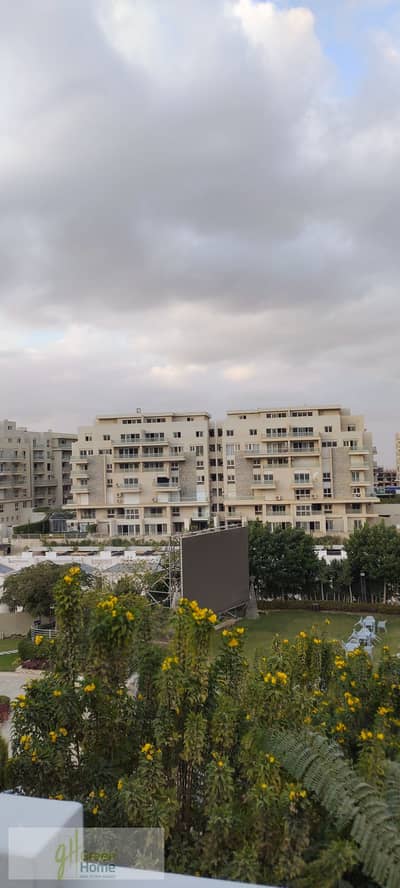 فلیٹ 3 غرف نوم للبيع في القاهرة الجديدة، القاهرة - IMG_٢٠٢٥١٢٢٩_١٦٢٠٣٠. jpg