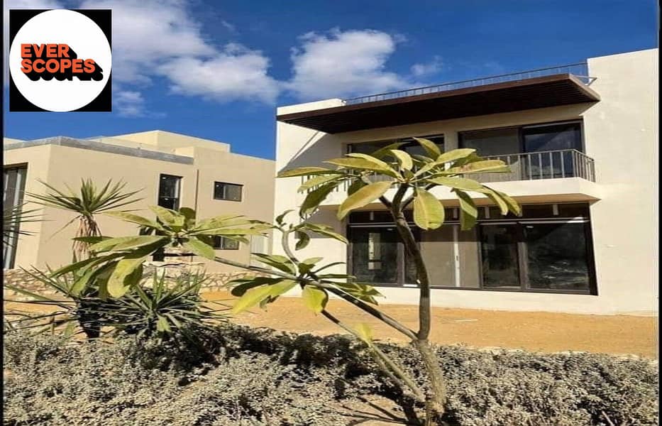 12 101596297-800x600. jpeg