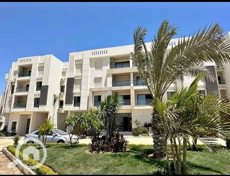 5 29c36178-1c59-4a22-af84-3831b1e0c595. jpg