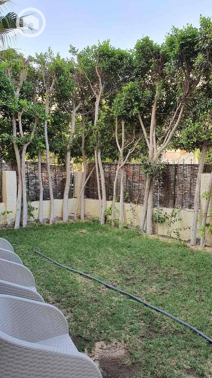 8 d43b8d0e-ac57-4a14-a16c-722011d3ef12. jpg