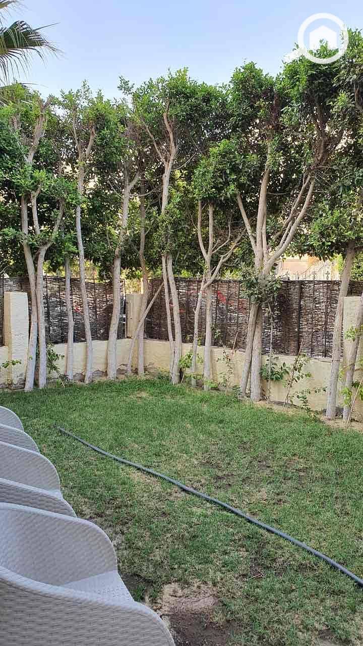 10 406ae406-b0d8-4d11-a638-7a5d8f4dfbac. jpg