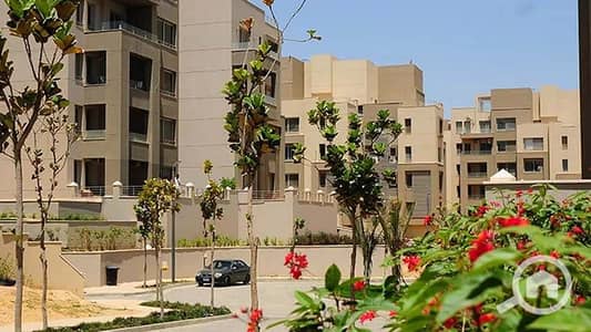 فلیٹ 1 غرفة نوم للبيع في القاهرة الجديدة، القاهرة - WhatsApp Image 2025-05-01 at 2.43. 34 AM (5). jpeg