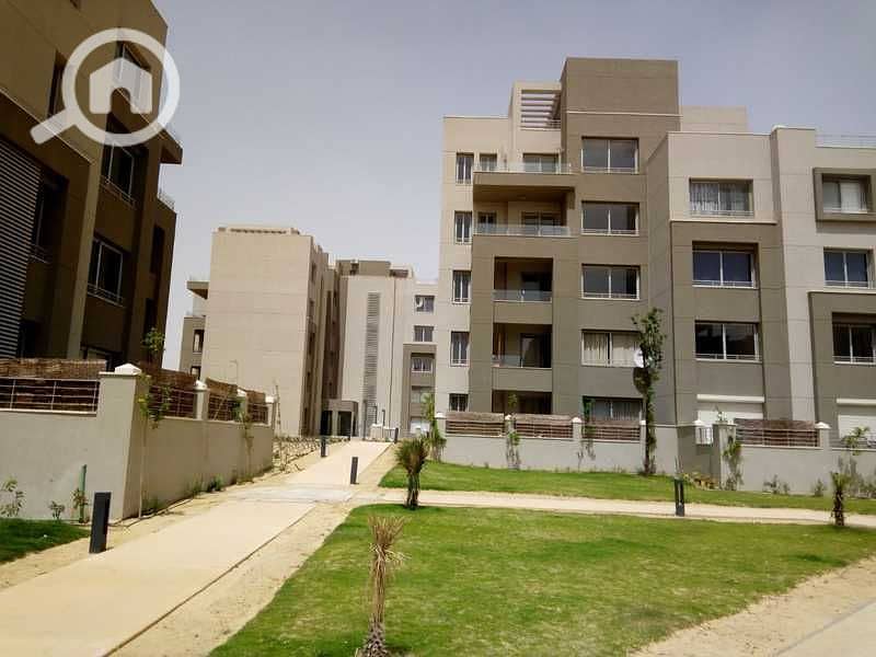 4 WhatsApp Image 2025-05-01 at 2.43. 35 AM. jpeg