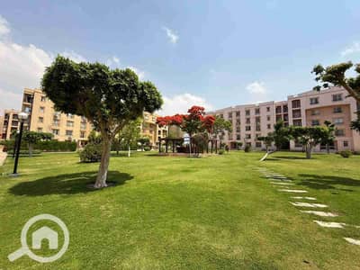 2 Bedroom Flat for Rent in New Cairo, Cairo - 1001222290. jpg