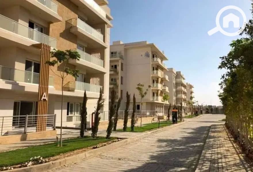 3 4020d29e-2efc-4d3a-aa45-ea31b4b816c1. jpg