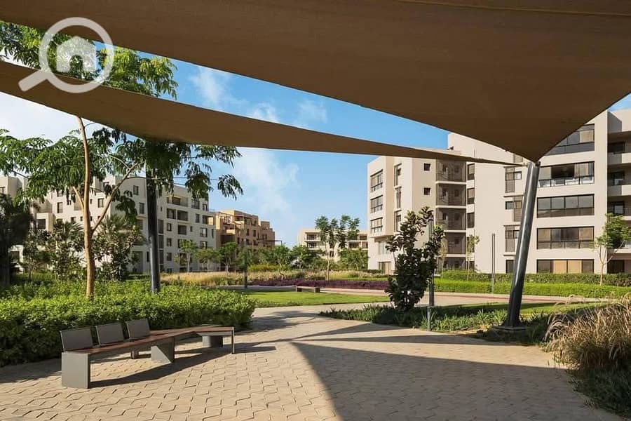 12 616327832_122220362648566653_8585329821430010525_n. jpg