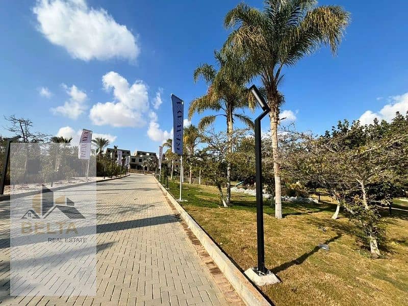 6 1312x894v_800x600. jpg