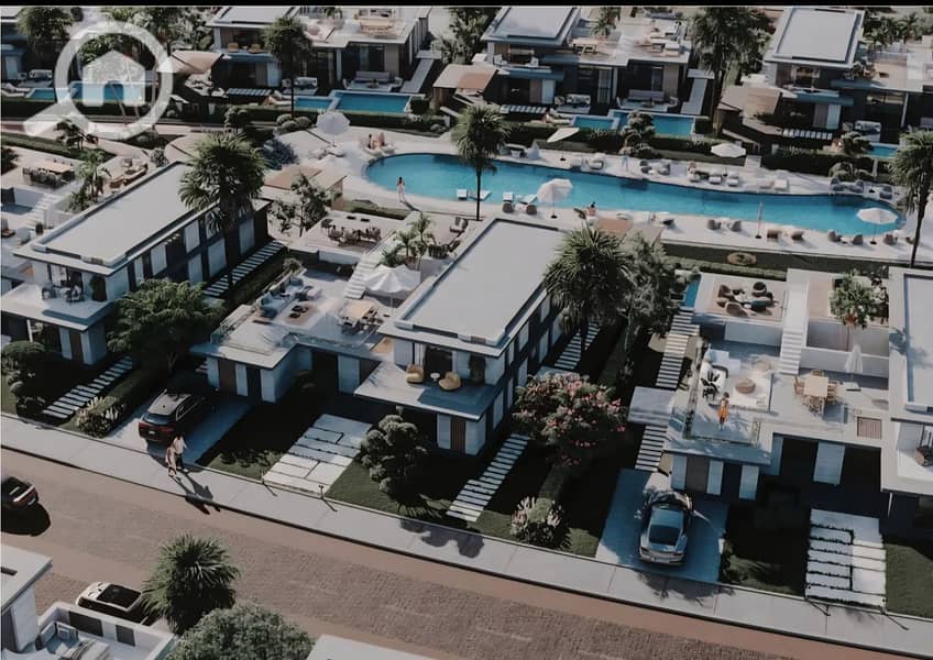 6 photo_11_2026-01-13_16-50-18. jpg