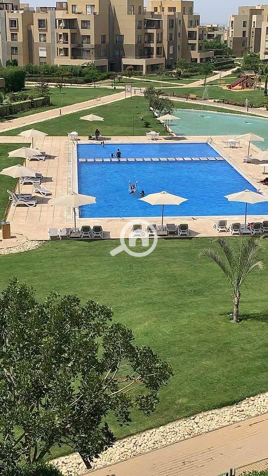 8 592398862_10163481324367943_8391000967041994968_n. jpg