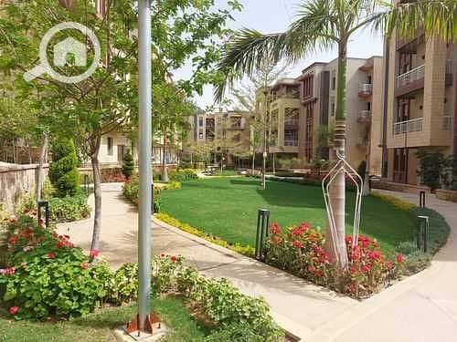 8 medium_WhatsApp_Image_2022-07-07_at_5.15. 08_PM__1_. jpeg