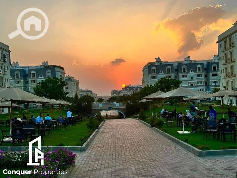 6 Untitled design - 2023-11-30T155906.113 (2). png