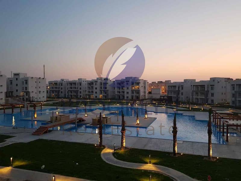 6 50787caa-0f0e-481c-a823-7aa69a33a762. jpg