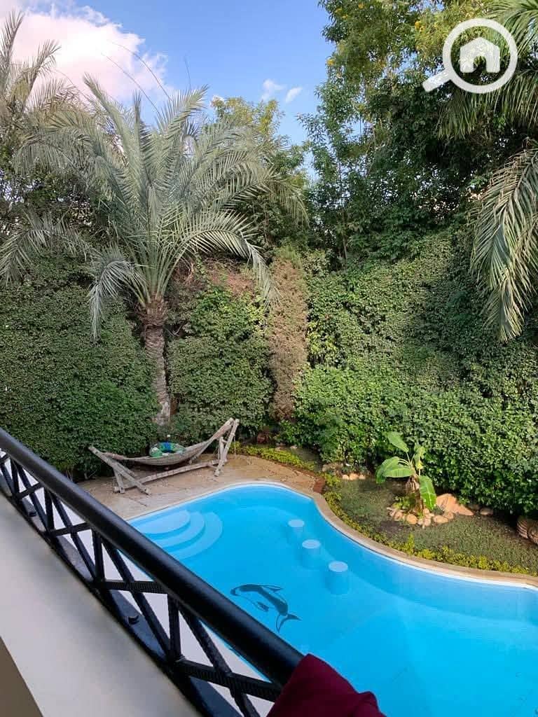 10 615204738_910158708214058_4123942845003865386_n. jpg