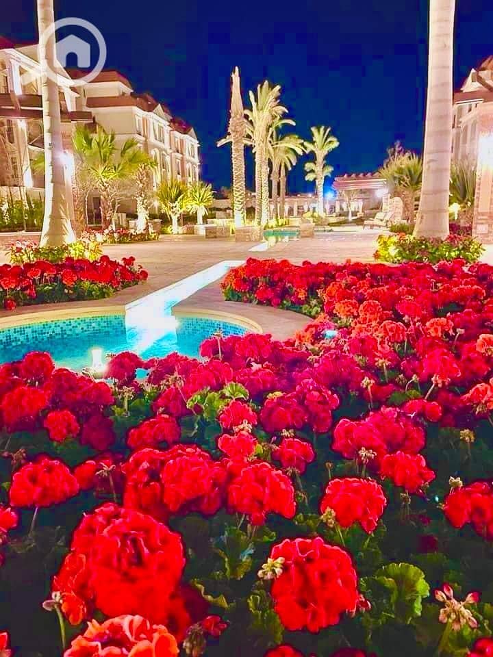 8 IMG-20251202-WA0025. jpg