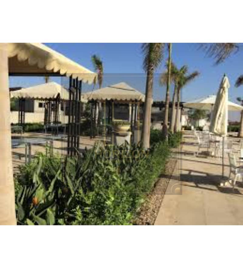 5 images (3). jfif. jpg