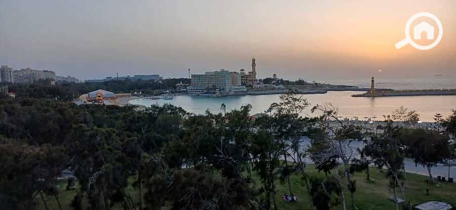 22 WhatsApp Image 2025-04-26 at 16.32. 38. jpeg