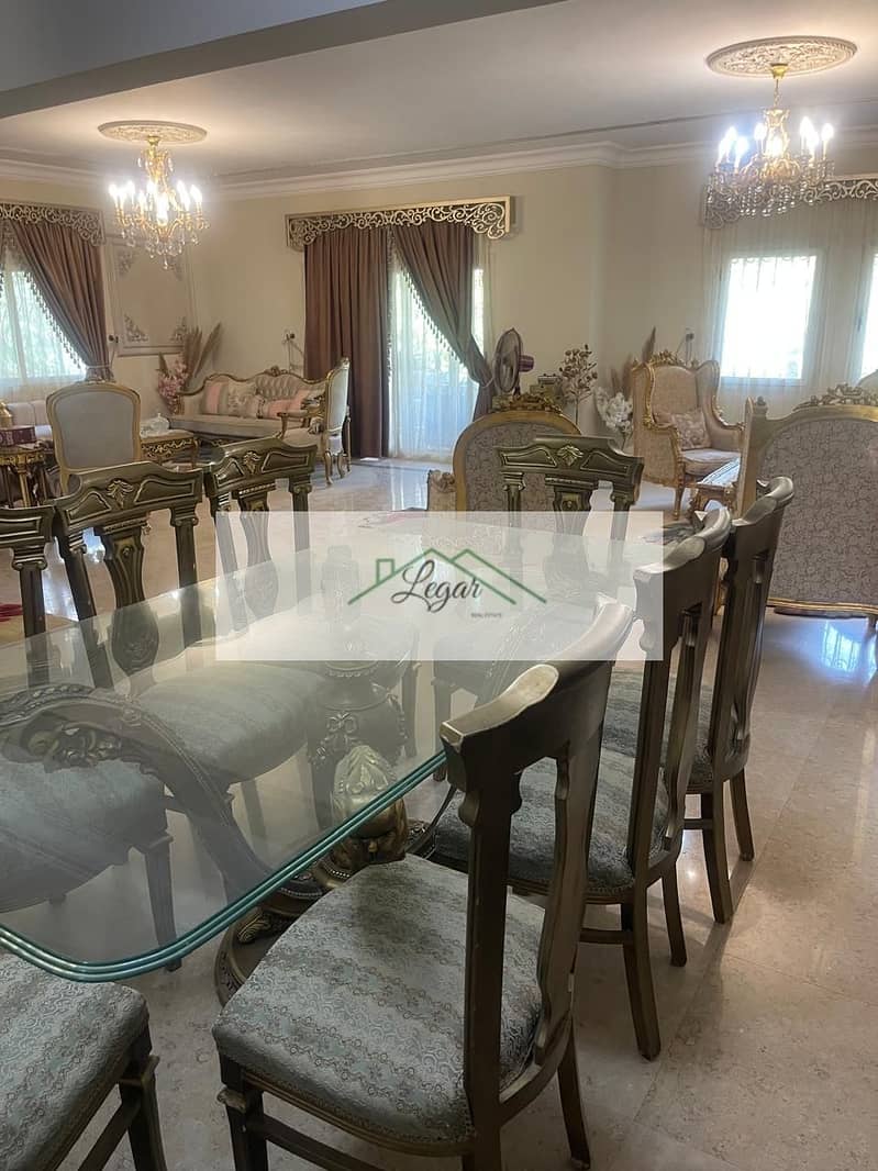 5 096a07c5-2500-408e-81b8-147adb3f6921. jpg