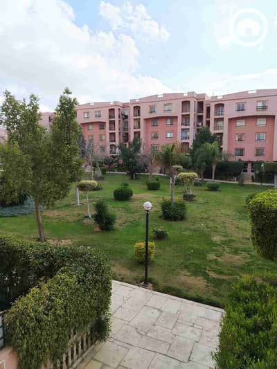 شقة 3 غرف نوم للايجار في القاهرة الجديدة، القاهرة - 1000249660. jpg