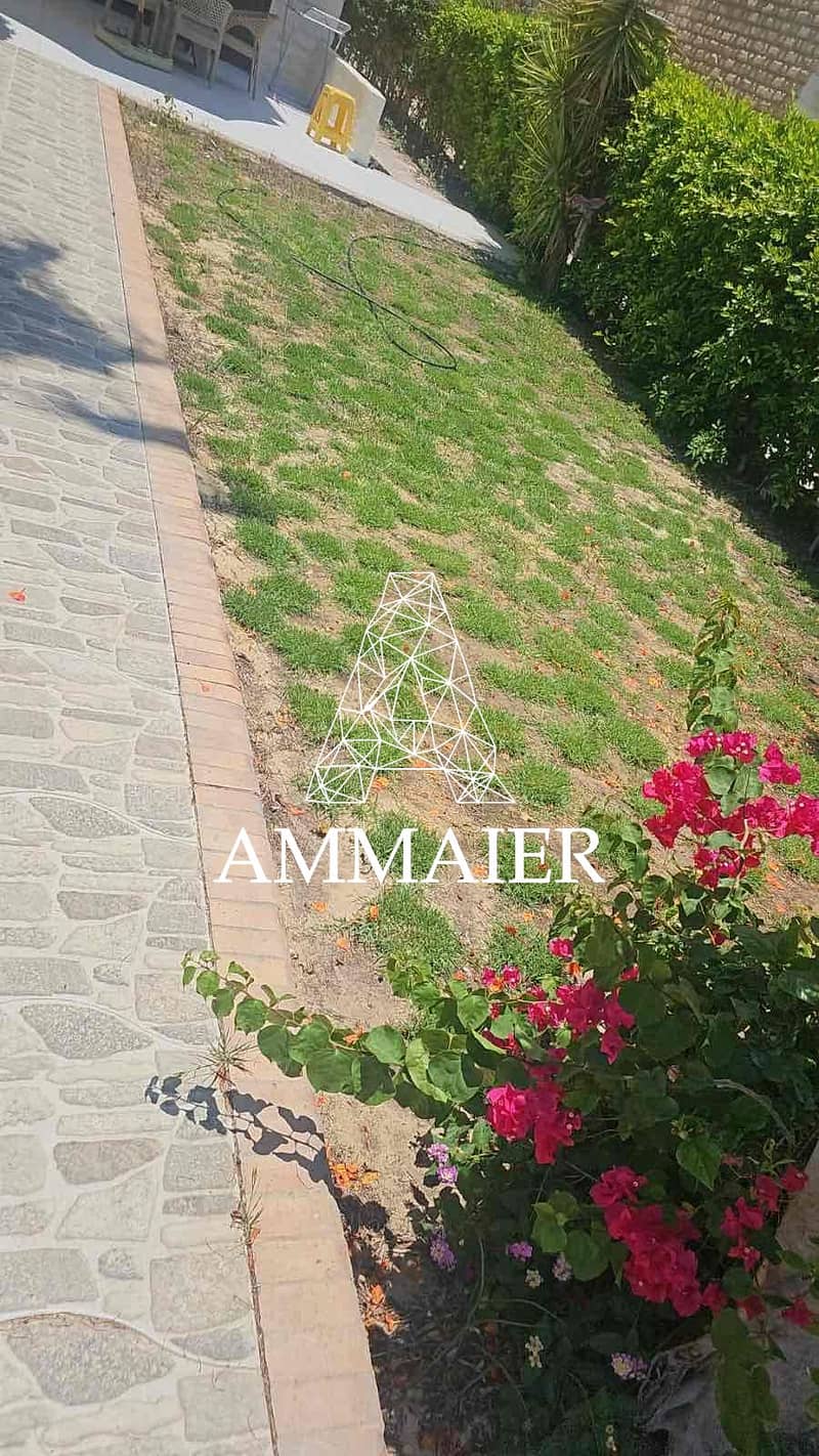 10 09a84616-80a7-4d09-b1d1-6faa98e32627. jpg