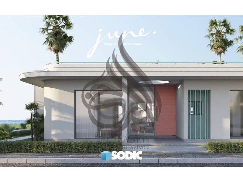 11 XWMCSxfU3SNXD2h5. jpeg