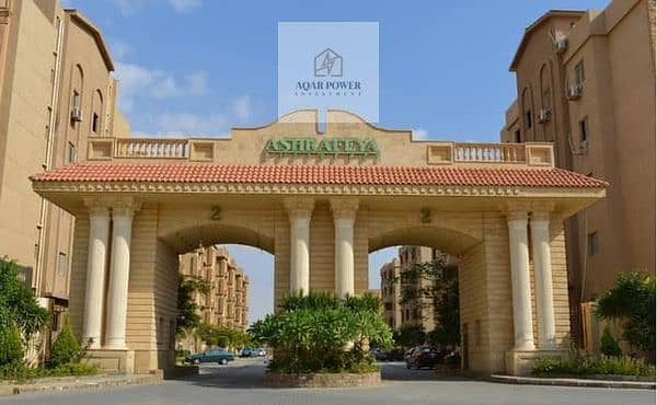 13 458165807_1053862696326954_187116831056519675_n. jpg