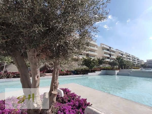 6 480482573_122125109810603813_312093768233105188_n. jpg