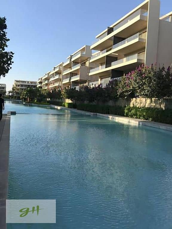 11 481056087_122217836024200458_1697923047463083097_n. jpg