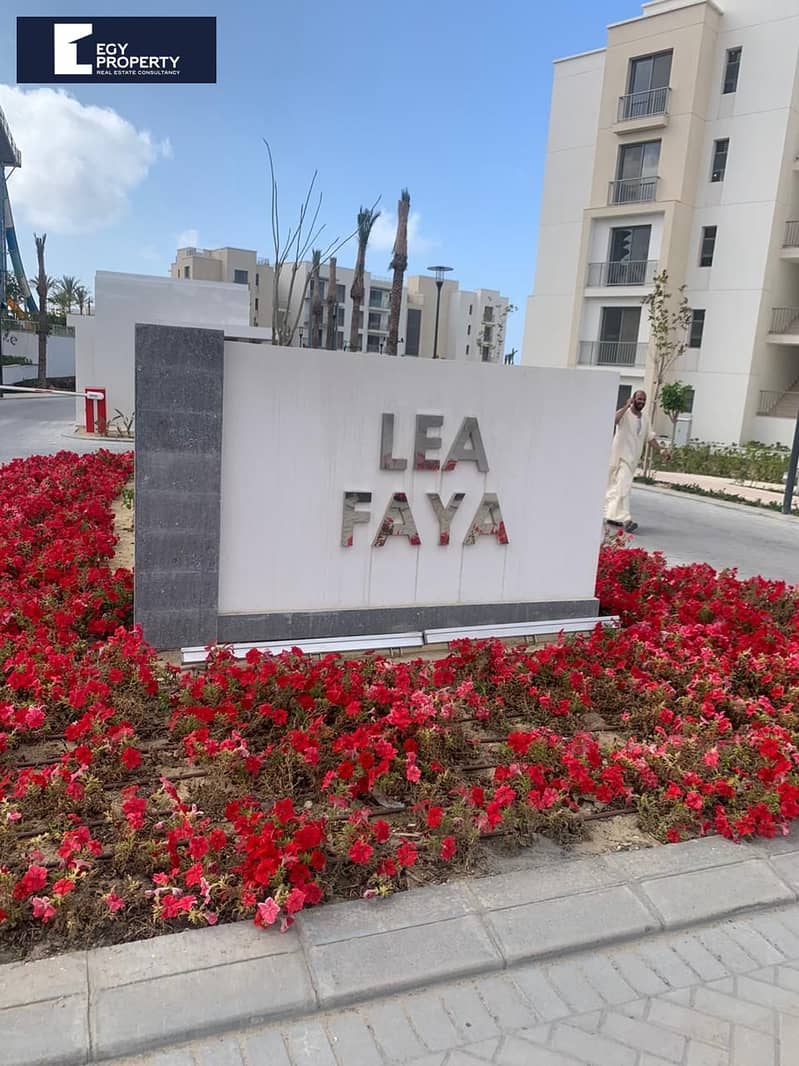 7 _files_WhatsApp Image 2025-07-18 at 10.45. 16_9b4029a7. jpg