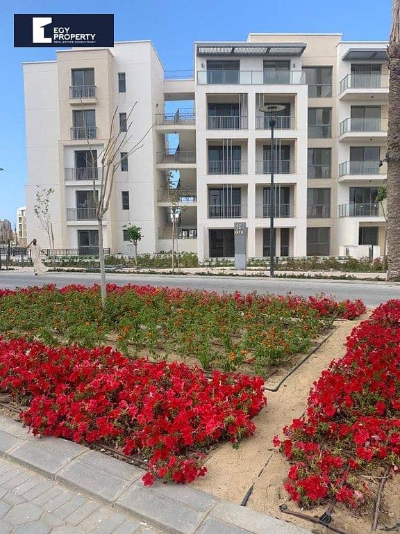 8 _files_WhatsApp Image 2025-07-18 at 10.45. 16_aa4d31ef. jpg