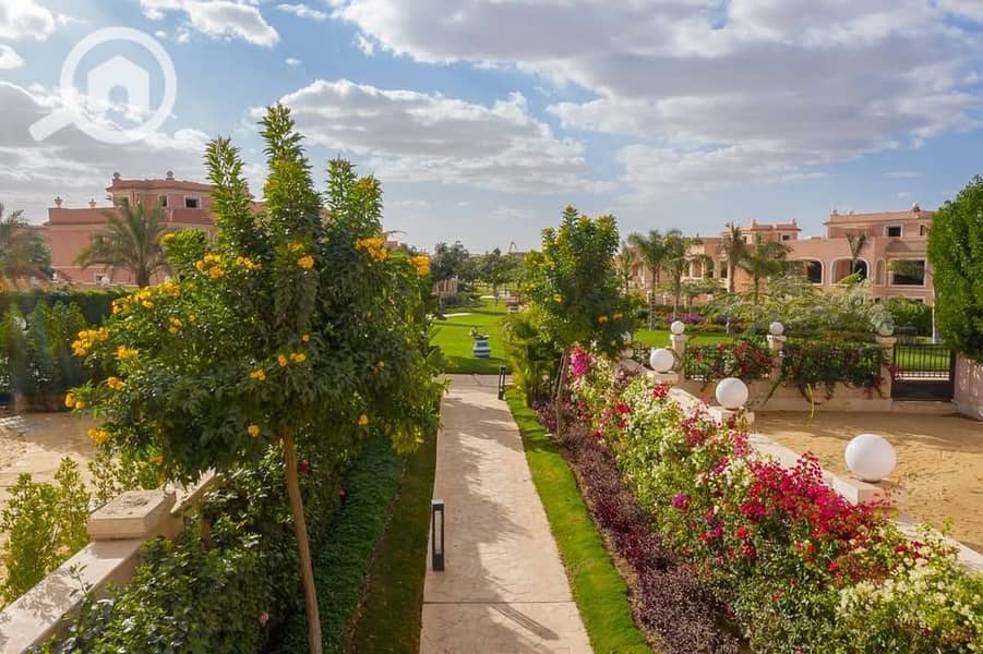 12 471319353_9001389843231679_8634261518771595953_n. jpg