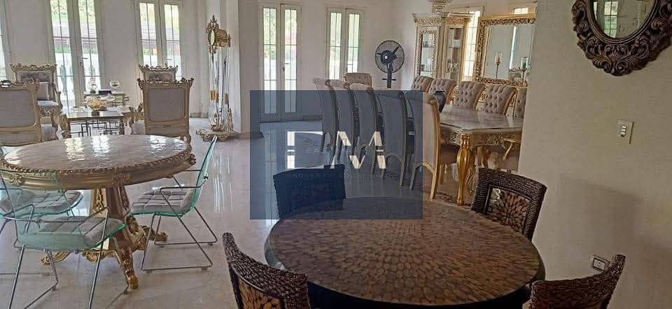 7 3441849b-c333-494f-838b-d8769054ce94. jpg