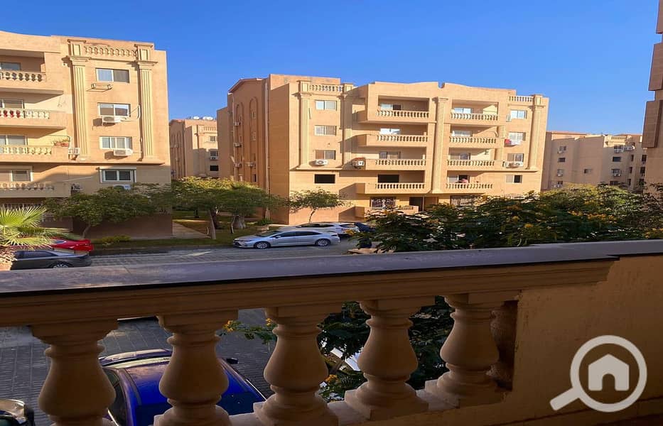 4 473791695_10231653920123498_3183234133163799535_n. jpg