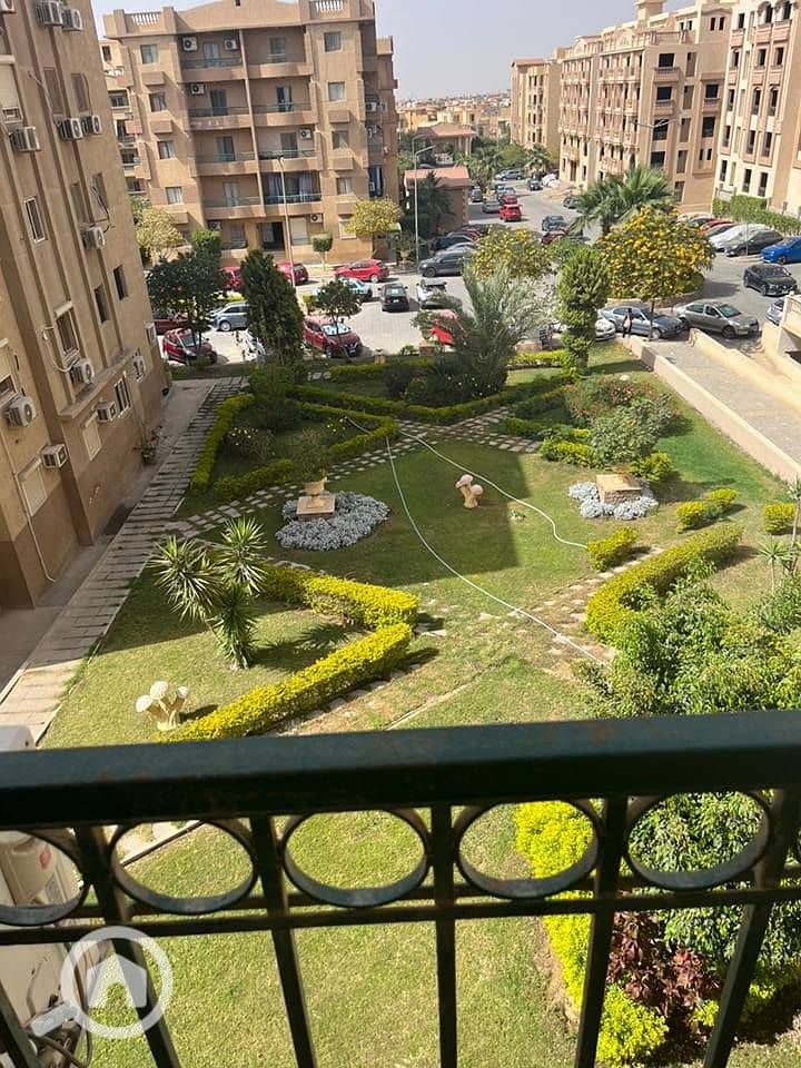 13 616650139_2063520584381370_1506486298318925152_n. jpg