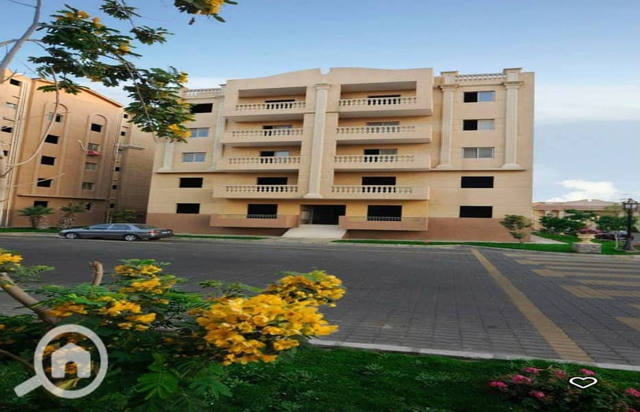 11 482322904_122249758178022208_6506667064245698345_n. jpg