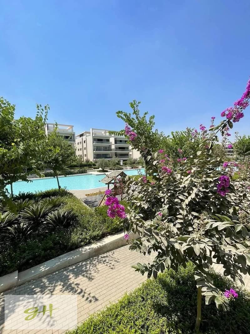 11 476299365_122128537034607436_1889595577229564481_n. jpg